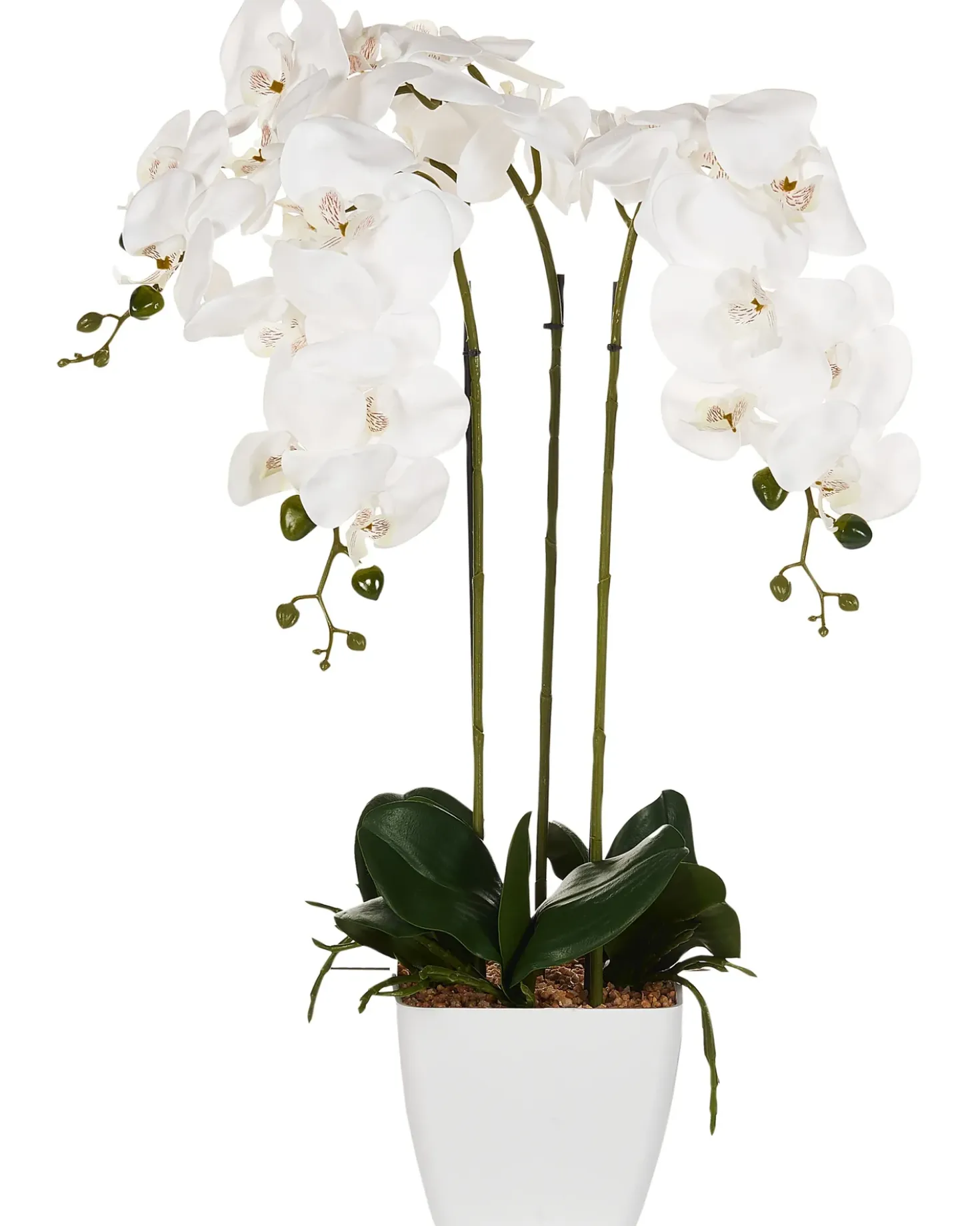 Pianta artificiale ORCHID 59 cm Bianco