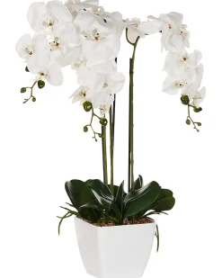 Pianta artificiale ORCHID 59 cm Bianco