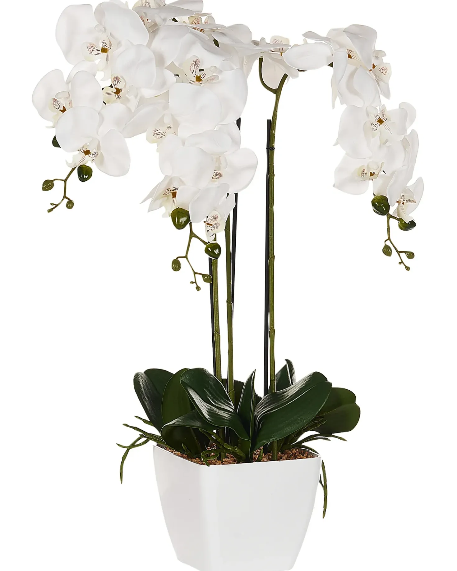 Pianta artificiale ORCHID 59 cm Bianco