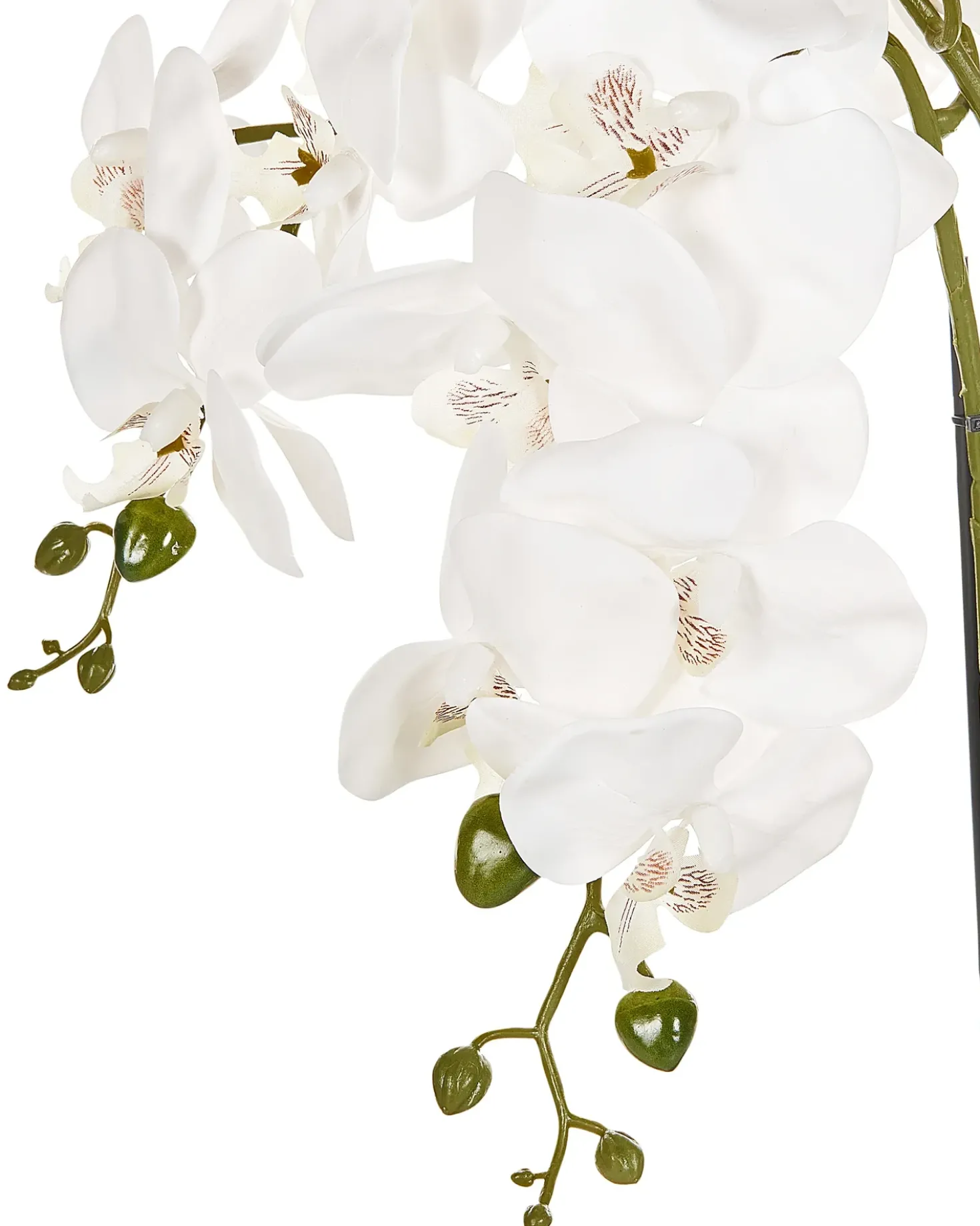 Pianta artificiale ORCHID 59 cm Bianco