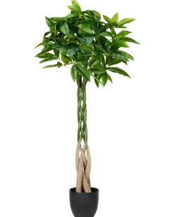 Pianta artificiale PACHIRA TREE 120 cm Verde