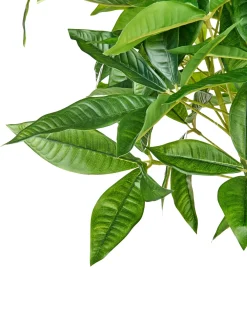 Pianta artificiale PACHIRA TREE 120 cm Verde