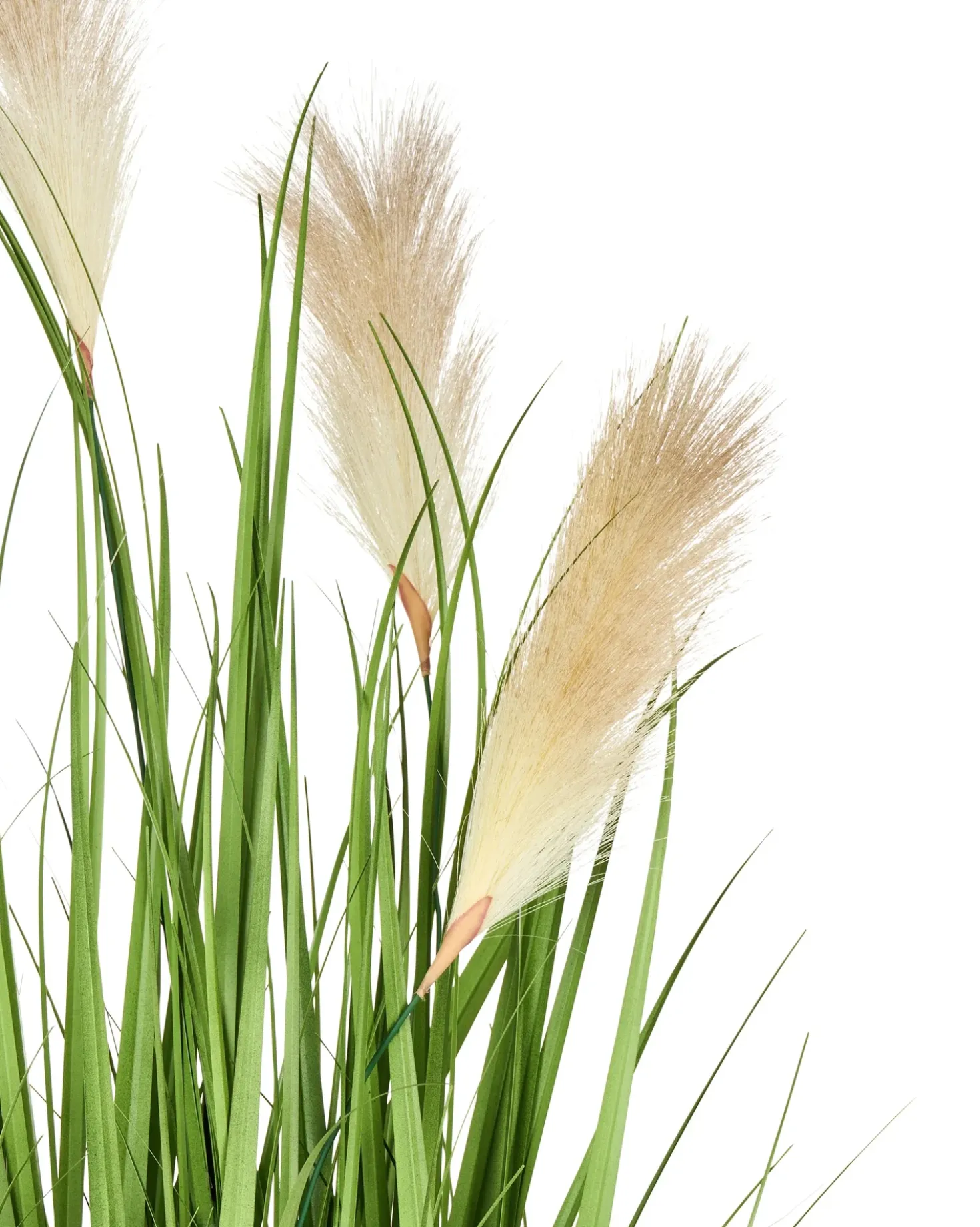 Pianta artificiale PAMPAS GRASS 130 cm Verde