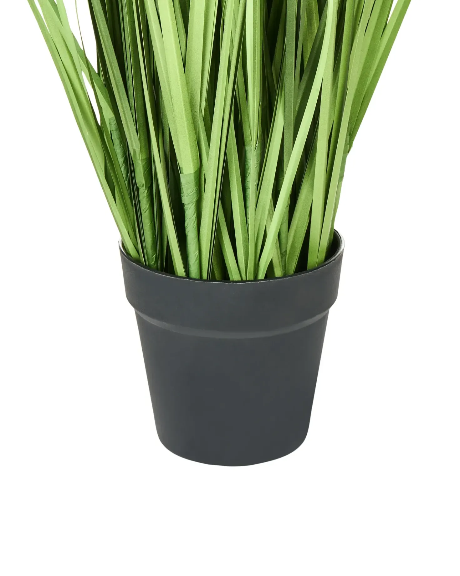 Pianta artificiale PAMPAS GRASS 130 cm Verde