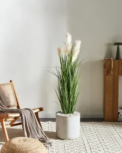 Pianta artificiale PAMPAS GRASS 130 cm Verde