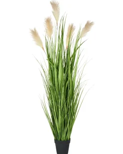 Pianta artificiale PAMPAS GRASS 130 cm Verde
