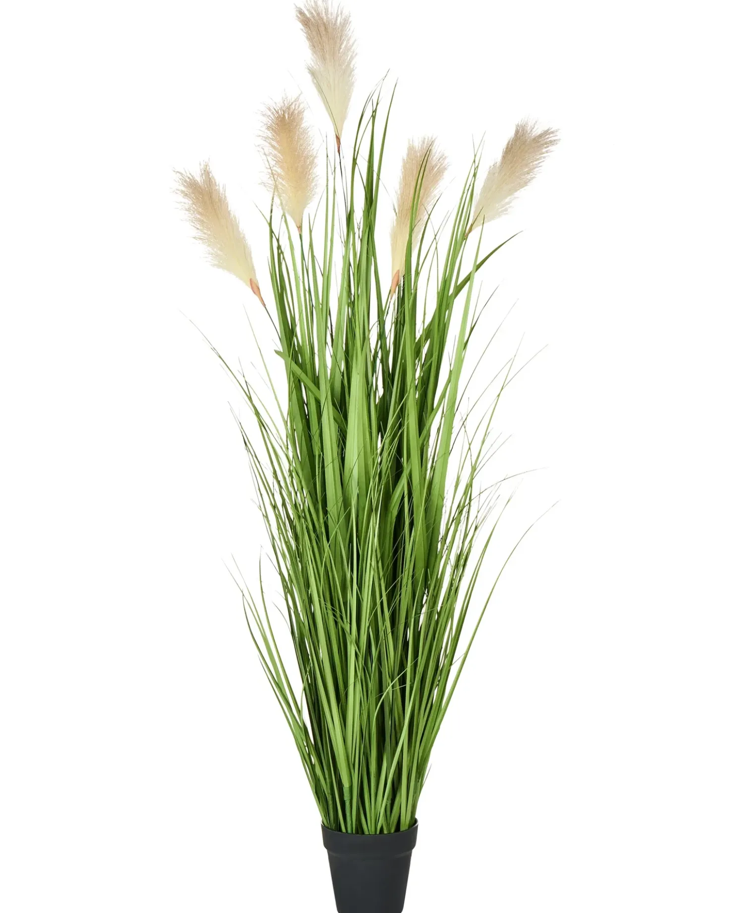 Pianta artificiale PAMPAS GRASS 130 cm Verde