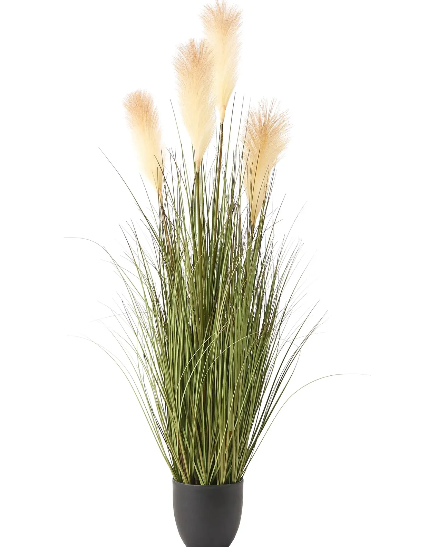 Pianta artificiale PAMPAS GRASS 120 cm Verde
