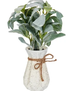 Pianta artificiale PEPEROMIA ARGYREIA 30 cm Verde