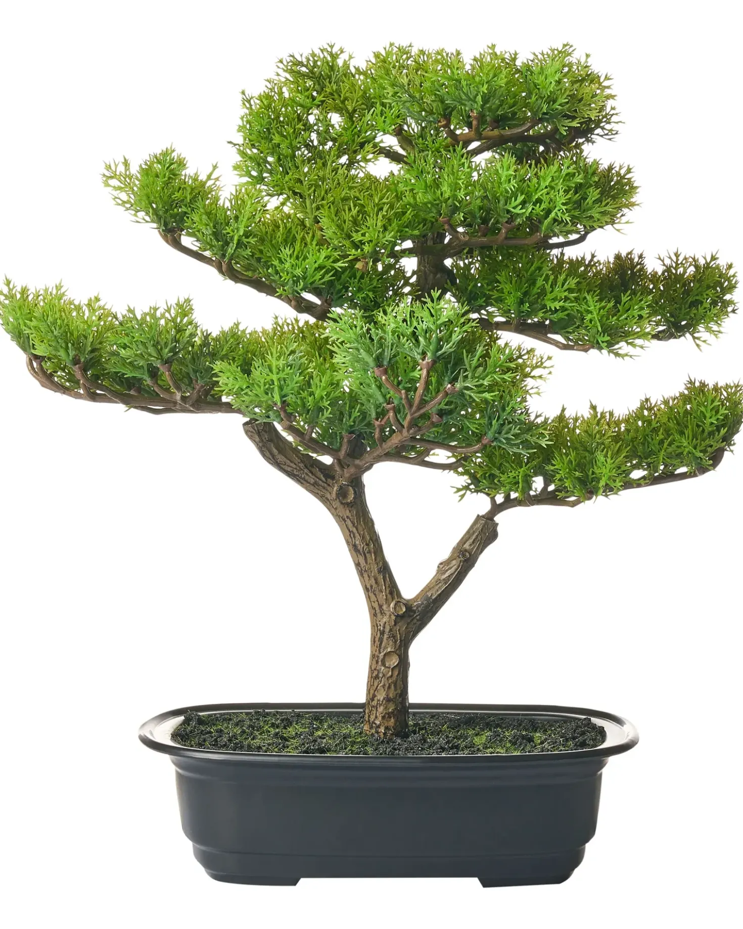 Pianta artificiale PINE 37 cm Verde