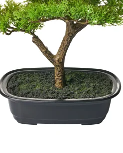 Pianta artificiale PINE 37 cm Verde