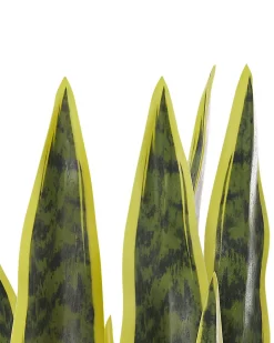 Pianta artificiale SNAKE PLANT 63 cm Verde
