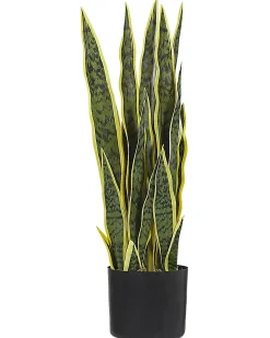 Pianta artificiale SNAKE PLANT 63 cm Verde