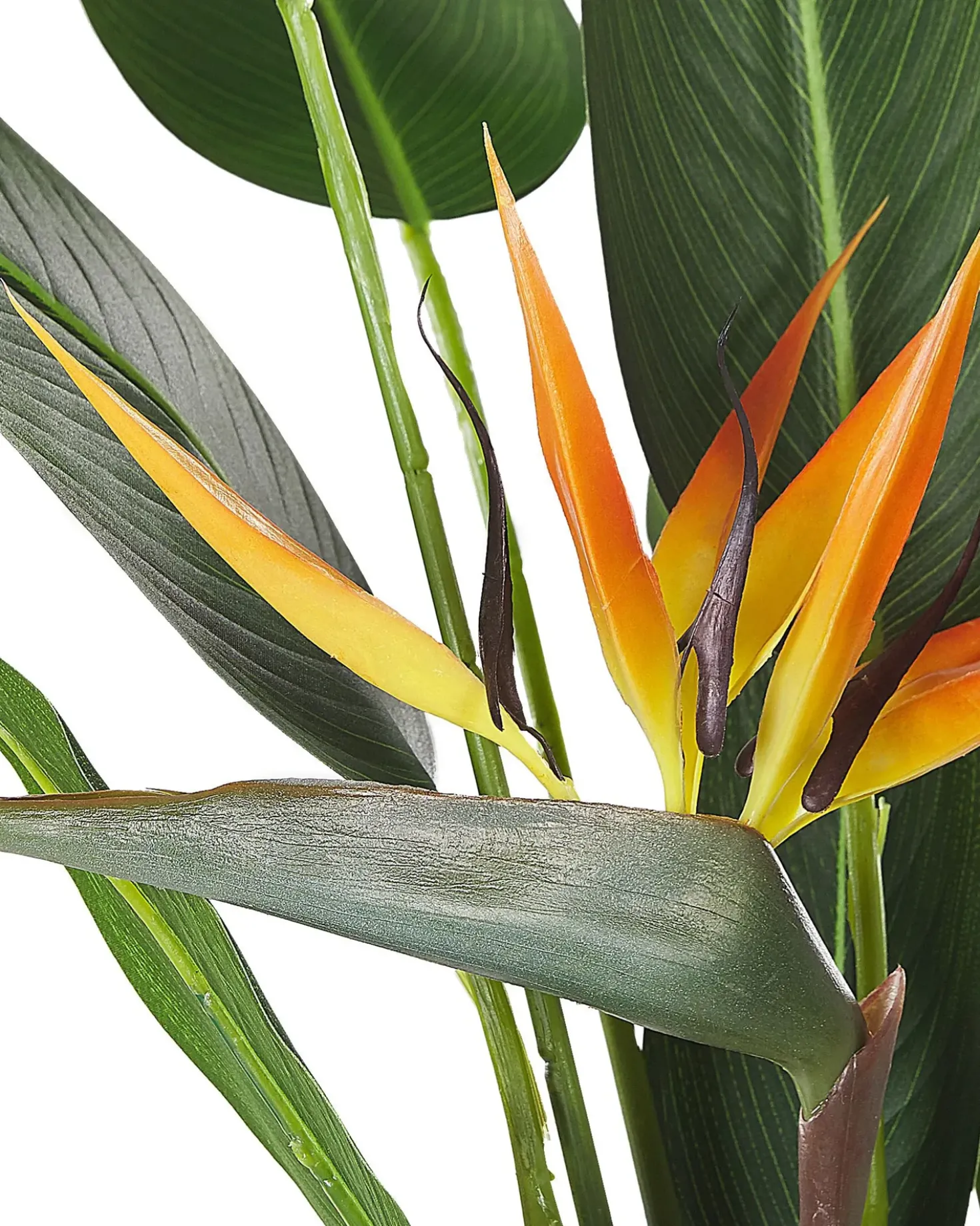 Pianta artificiale STRELITZIA TREE 115 cm Verde