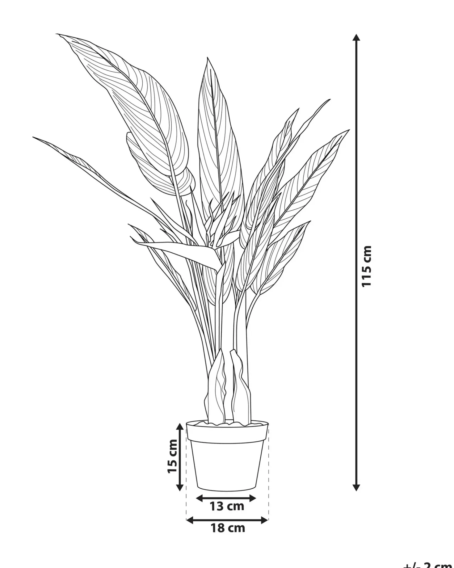 Pianta artificiale STRELITZIA TREE 115 cm Verde