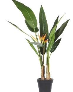 Pianta artificiale STRELITZIA TREE 115 cm Verde