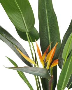 Pianta artificiale STRELITZIA TREE 115 cm Verde