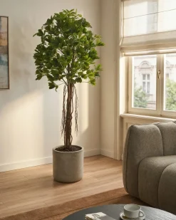 Pianta artificiale UMBRELLA TREE 175 cm Verde