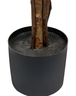 Pianta artificiale UMBRELLA TREE 175 cm Verde