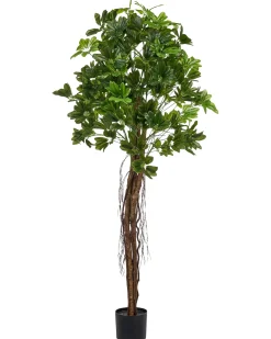 Pianta artificiale UMBRELLA TREE 175 cm Verde