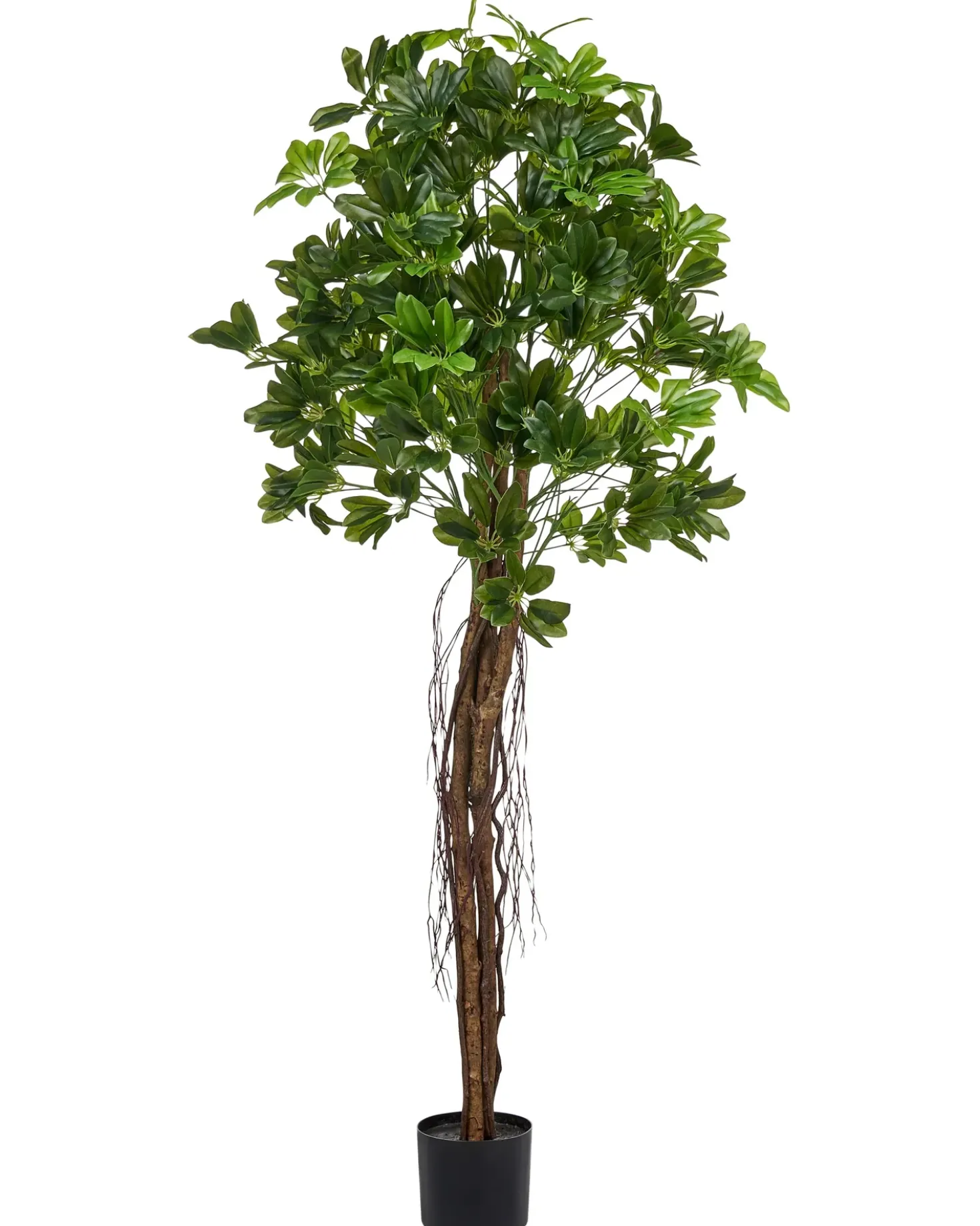 Pianta artificiale UMBRELLA TREE 175 cm Verde