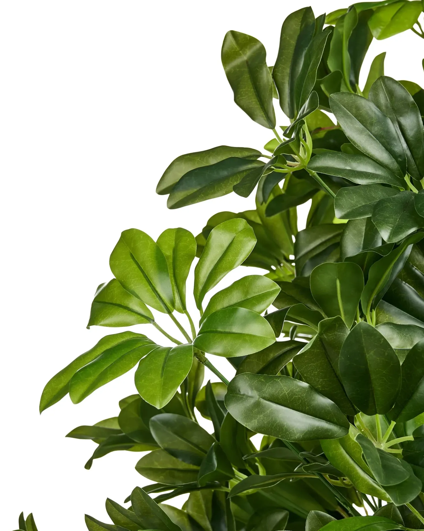 Pianta artificiale UMBRELLA TREE 175 cm Verde