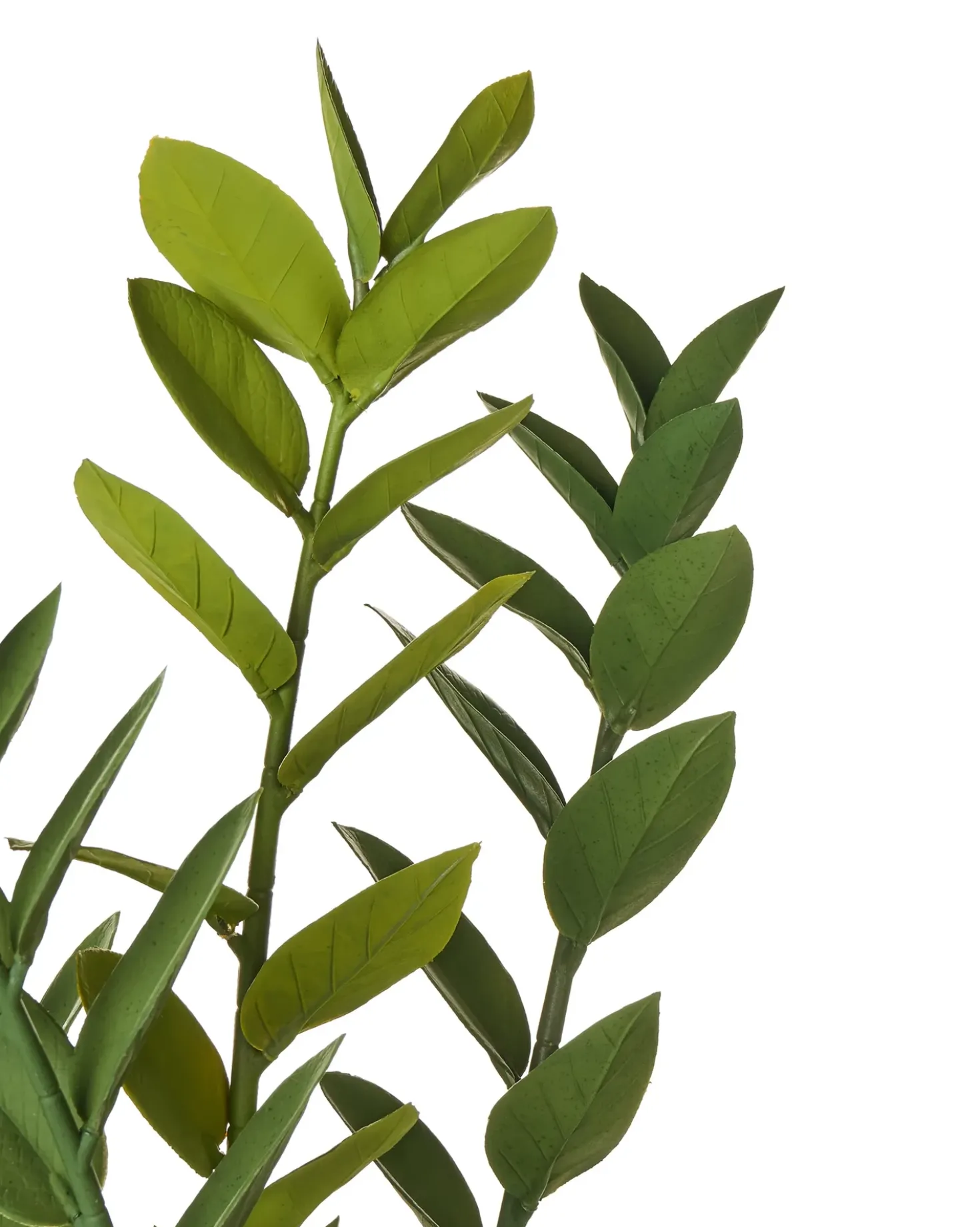 Pianta artificiale ZAMIIFOLIA 76 cm Verde