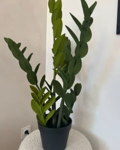 Pianta artificiale ZAMIIFOLIA 76 cm Verde