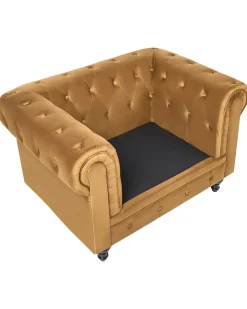 Poltrona CHESTERFIELD Velluto Oro