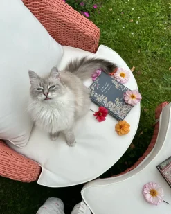 Poltrona da giardino con ottomana ARCILLE Rattan sintetico (PE) Rosa pesca