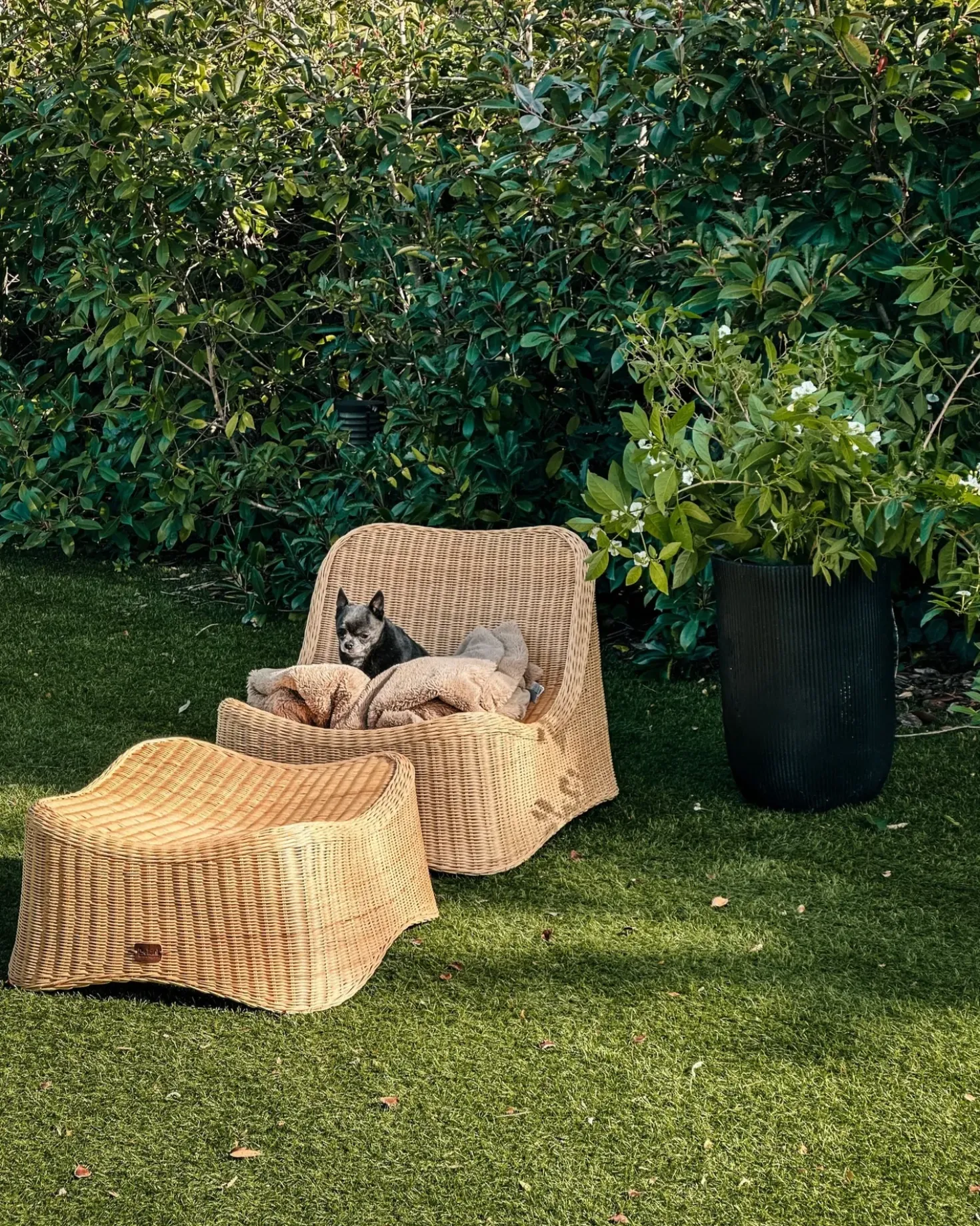 Poltrona da giardino con ottomana AIGANI Rattan Naturale
