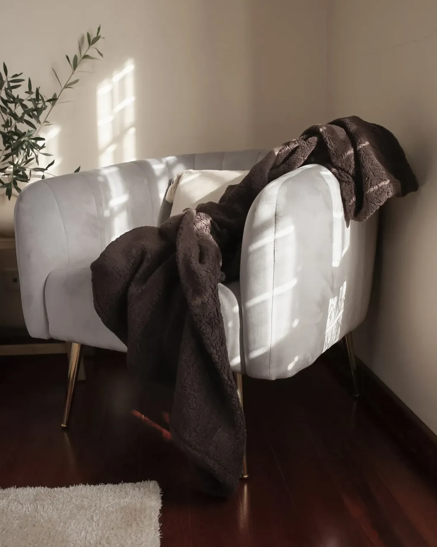 Poltrona LACONIA Velluto Grigio chiaro
