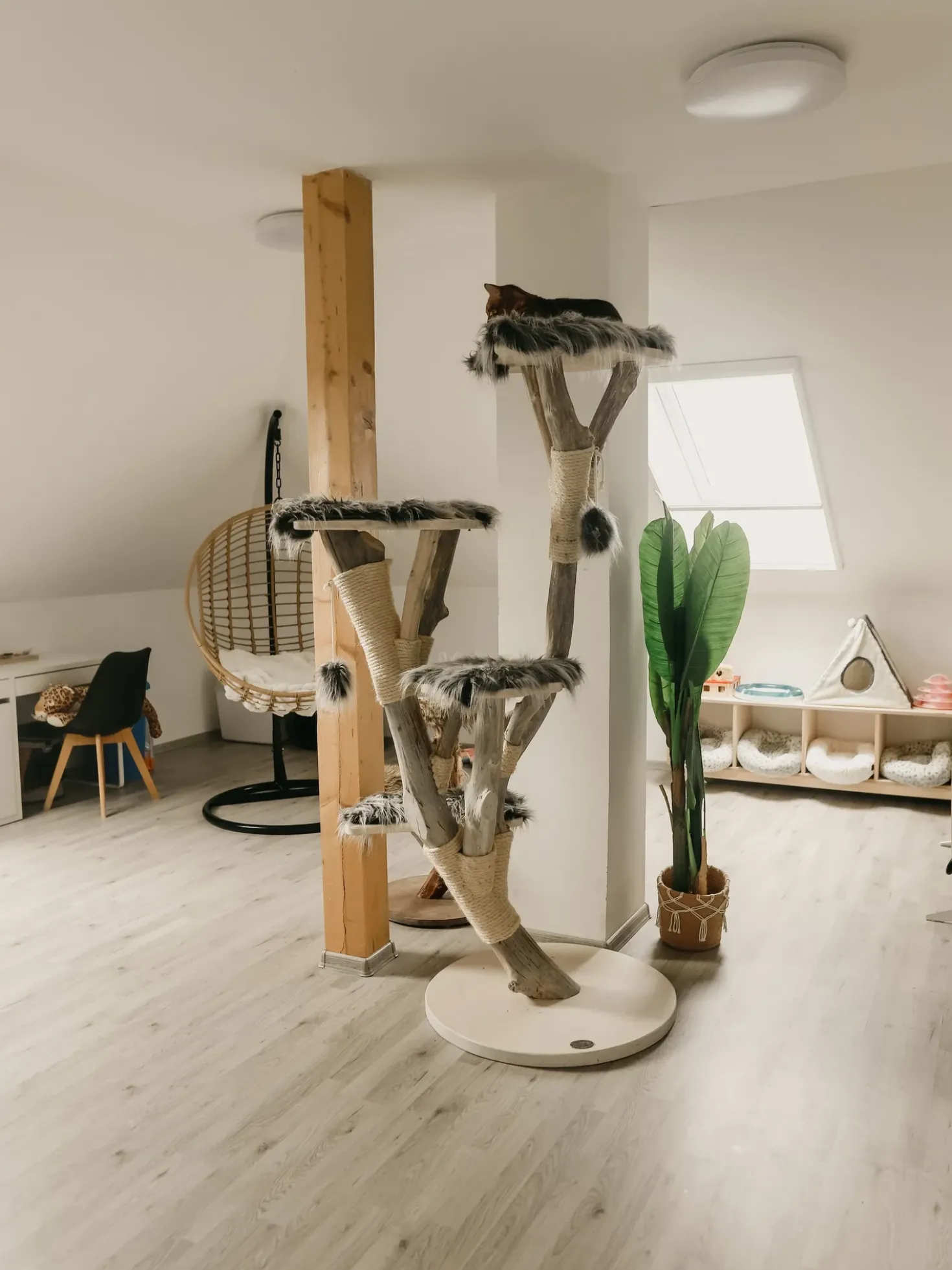 Poltrona sospesa con supporto da pavimento ASPIO Rattan sintetico (PE) Naturale