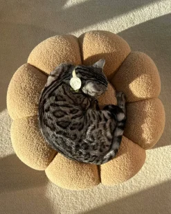 Pouf BEAUFORT Bouclé Marrone chiaro