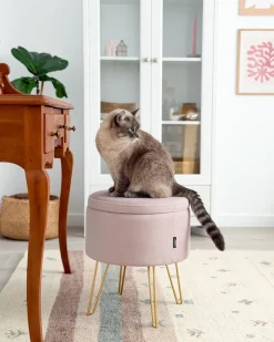 Pouf contenitore SILAS Velluto Rosa pastello