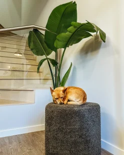Pouf SCOTIA Ciniglia Grigio scuro