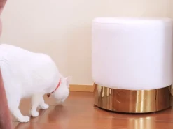 Pouf SOPHIA Velluto Bianco