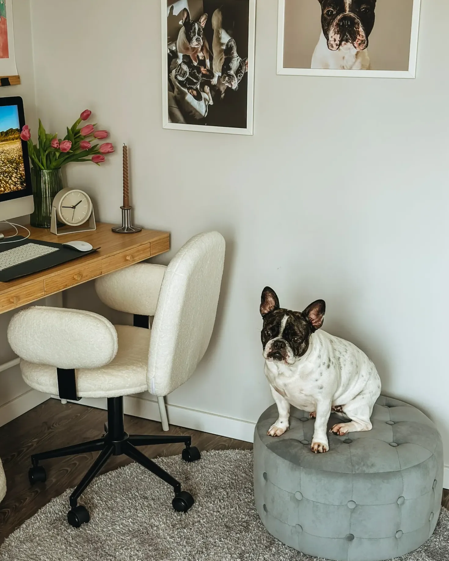 Pouf TAMPA Velluto Grigio chiaro
