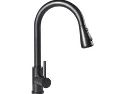 Rubinetto estraibile da cucina PAIMUN Nero
