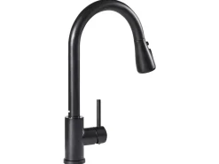 Rubinetto estraibile da cucina PAIMUN Nero