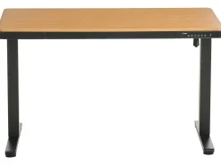 Scrivania elettrica regolabile in altezza PENLY Nero/Marrone chiaro 120 cm 60 cm con porta USB