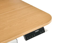 Scrivania elettrica regolabile in altezza WILBANKS Marrone chiaro/Bianco 120 cm 60 cm con porta USB