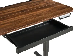 Scrivania elettrica regolabile in altezza WILBANKS Marrone/Nero 120 cm 60 cm con porta USB