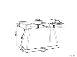 Scrivania FRISCO Grigio 120 cm 45 cm con Cassetti