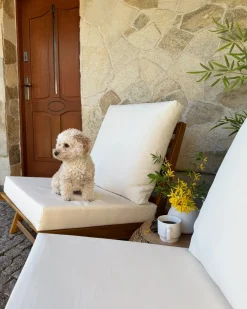 Sedia con cuscino MICCIANO Legno d'acacia Bianco sporco