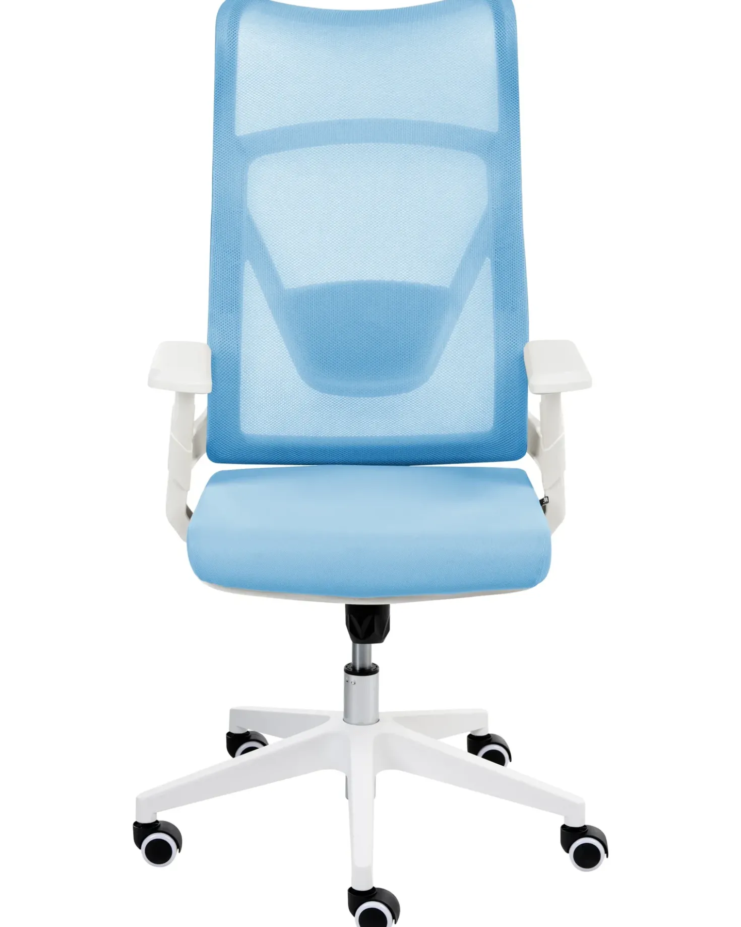 Sedia da ufficio BARD Azzurro