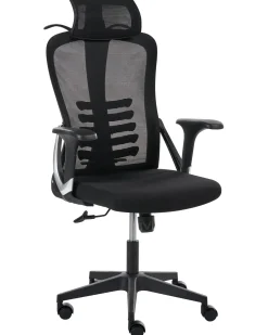 Sedia da ufficio ERGONOX Nero