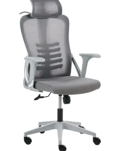 Sedia da ufficio ERGONOX Grigio