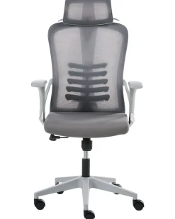 Sedia da ufficio ERGONOX Grigio