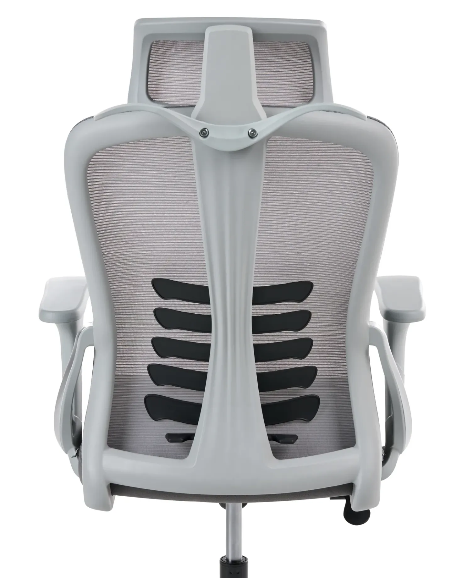 Sedia da ufficio ERGONOX Grigio